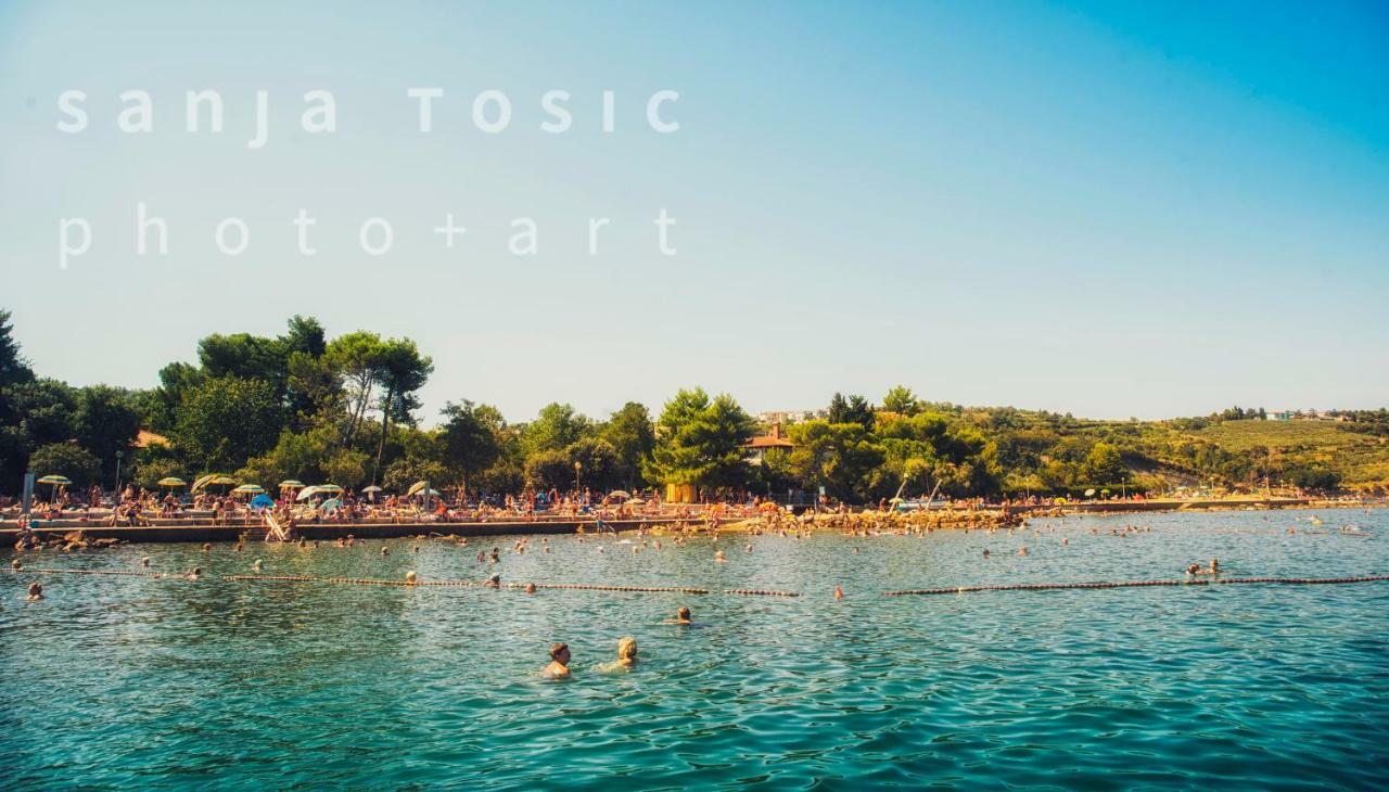 Vila Magenta, Terrace, Free Parking Izola Exterior photo